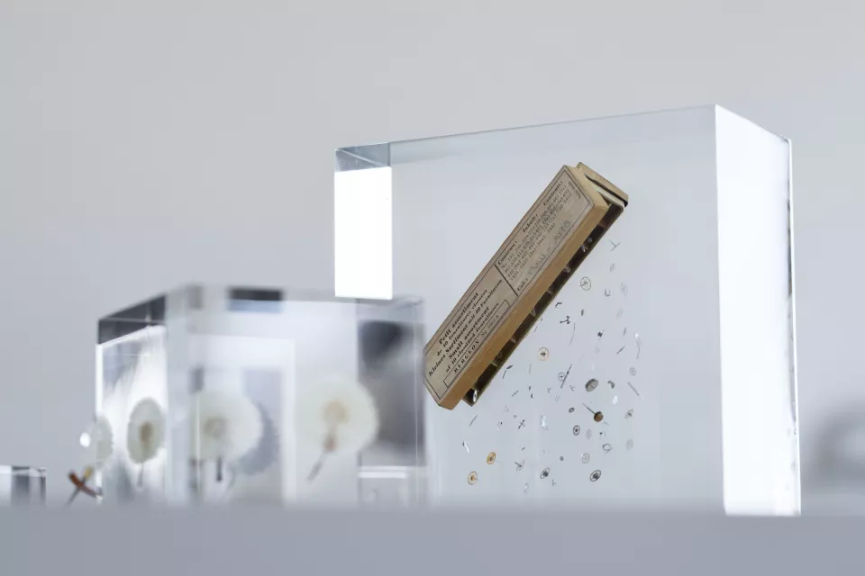 item.image?.alt || ''